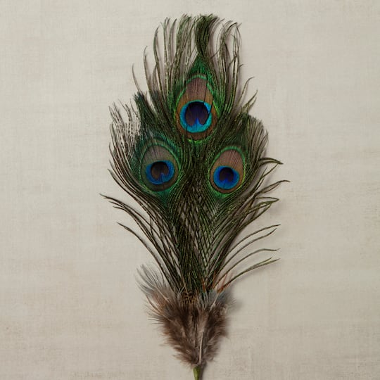 Peacock Feather Picks by Ashland® | Michaels